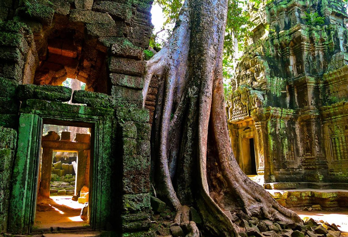 Pub Street Night Life