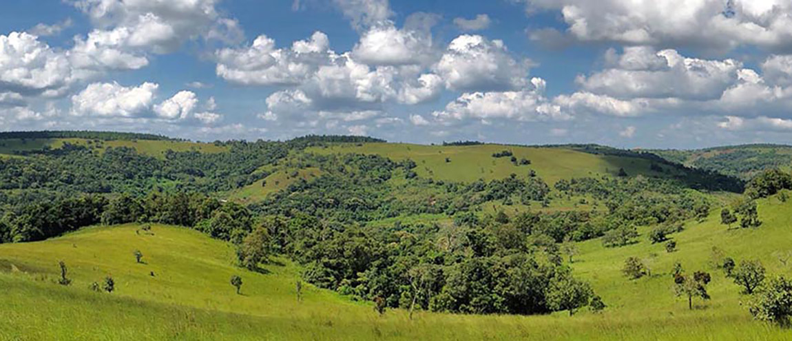 Mondulkiri