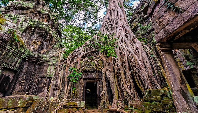 Siem Reap